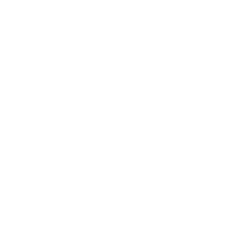 Parquesoft