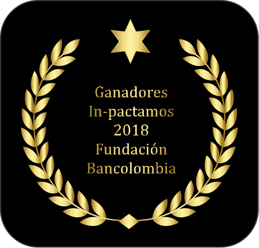 Fundacion Bancolombia Award